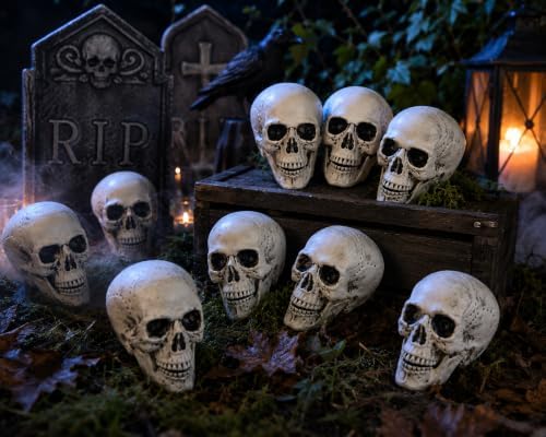 Fun Express White Plastic Realistic Skeleton Skulls, 5 Inch, 12 Pack