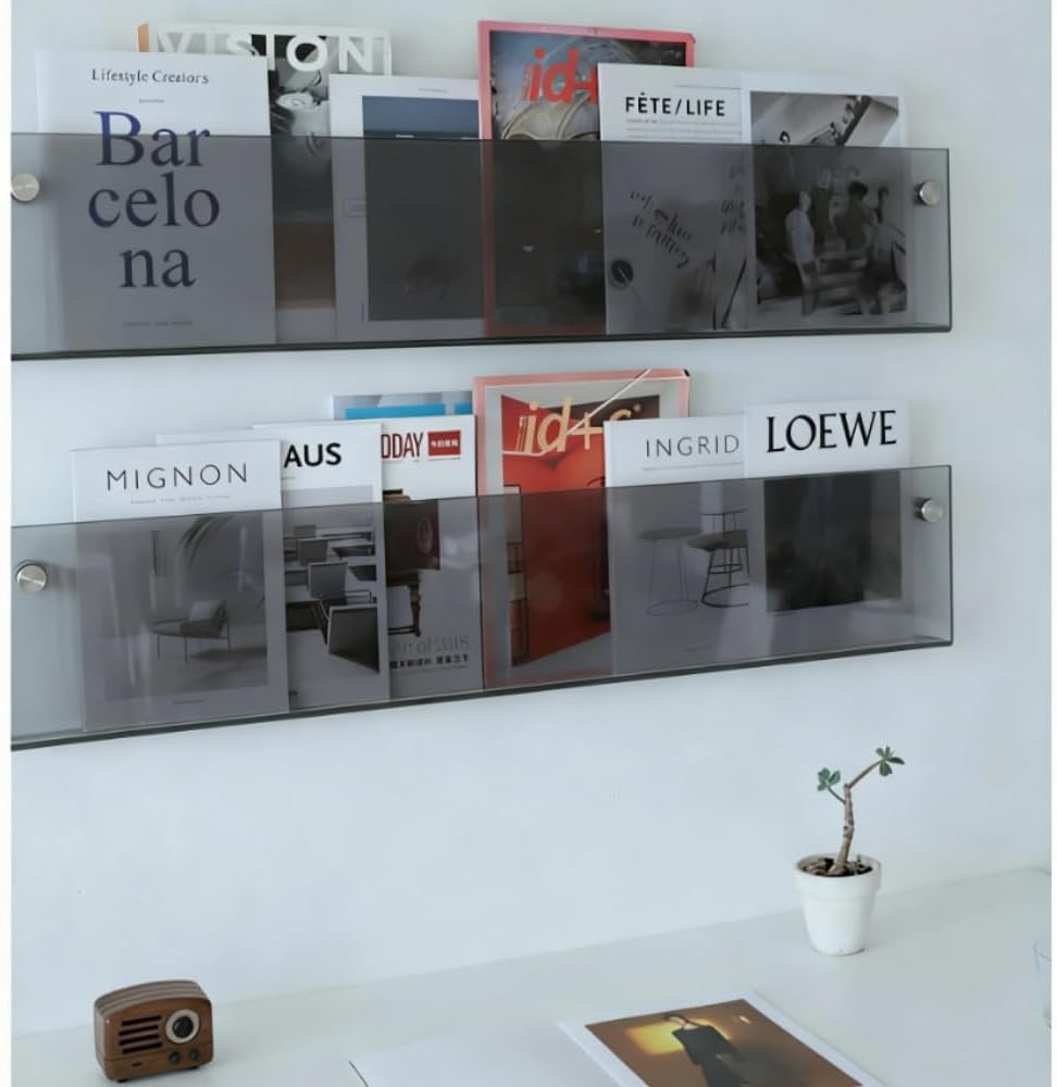 ROYALITA 2-Pack Acrylic Magazine Holder Brochure Holder, Gray 36 Inch | Record Magazine Rack, Fashion Floating