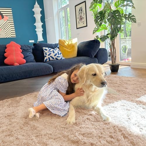 OLANLY 5x12 Machine Washable Large Area Rugs for Living Room, Bedroom, Soft Fluffy Shaggy Bedside Rug, Indoor Floor