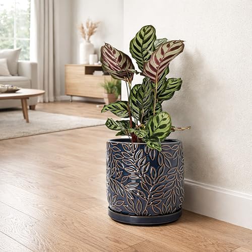 D'vine Dev Embossed Leaves Ceramic Planter, 8 in, Midnight Blue, 27-A-Q-3