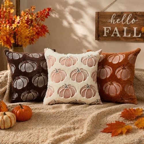 DFXSZ Fall Pillow Covers 18x18 Brown Pumpkin Plush Autumn Home Decor 093E18