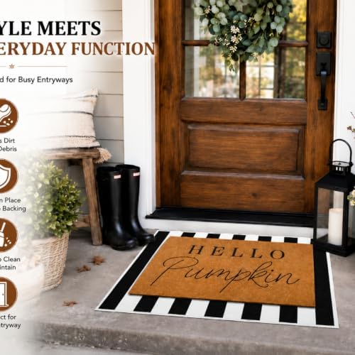 Tinideya 2 Pcs Halloween Hello Pumpkin Doormat, Black