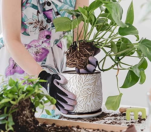 D'vine Dev Embossed Leaves Ceramic Planter, 6 in, Smoked White, 27-A-X-1