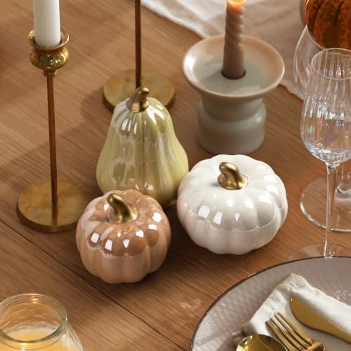 AELS Modern Ceramic Pumpkins Fall Decor Indoor, Cozy Farmhouse Tabletop Decorations, Artificial Pumpkins Decor for Fall Table Runner, Office, Holiday Party Home, Set of 3 Neutral Tones