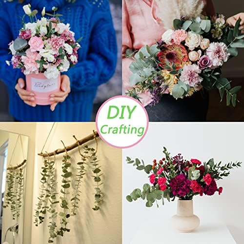 20 Pcs Dried Eucalyptus Stems 17" Real Eucalyptus for Shower Hanging