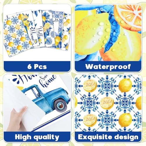 OBUSATT Blue and Yellow Lemons Placemats Set of 6 17×12 Inch Summer Lemon