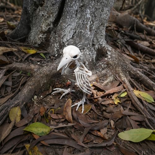 Seasons 7.8" Skeleton Raven Halloween Decoration