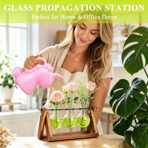 XXXFLOWER Plant Terrarium Kit with Wooden Stand 3 Gradient Green Bulb Vases