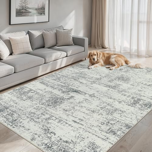 PLHXFR 6x9 Area Rug Living Room: Modern Abstract Washable Carpet Grey