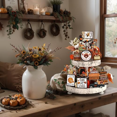 BBTO 18 Set Fall Tiered Tray Decor Rustic Farmhouse 3D Layered Wooden Signs