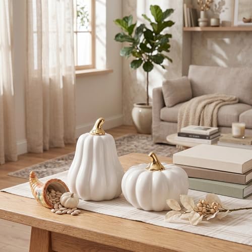 Qinyoung 2 Pcs Fall Ceramic Pumpkins for Home Decor Gold Stem, White