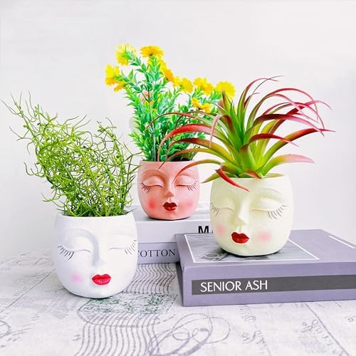 Face Planter Pot,Small Cute Resin Flower Head Planter with Red Lip,Brown,1P