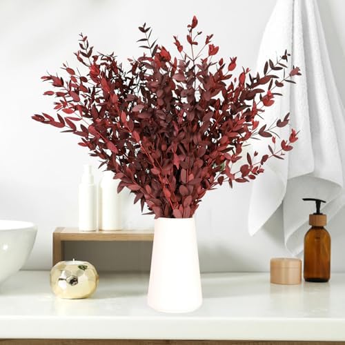 Dried Eucalyptus Leaves Stems, Preserved Real Eucalyptus Plant, Dried Willow Branches Bundle for Wedding Wreath Home Fragrance Vase Filler Bathroom Decor, Fall Arrangement Decorations (Red, 3oz)
