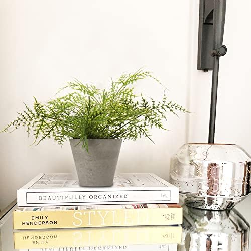 Fake Plants Potted Artificial Plants Greenery Faux Fern Eucalyptus Décor / Green #02 / Set of 2