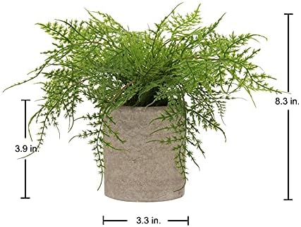Small Fake Plant Potted Plants Artificial Decor Plastic Asparagus Ferns Plant Faux / Color #03
