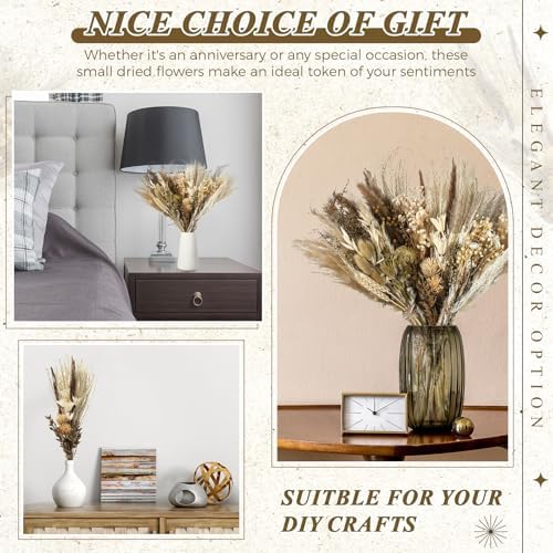 Layhit 4 Pack Large Size Boho Dried Flowers 15-17 Inch, Classic