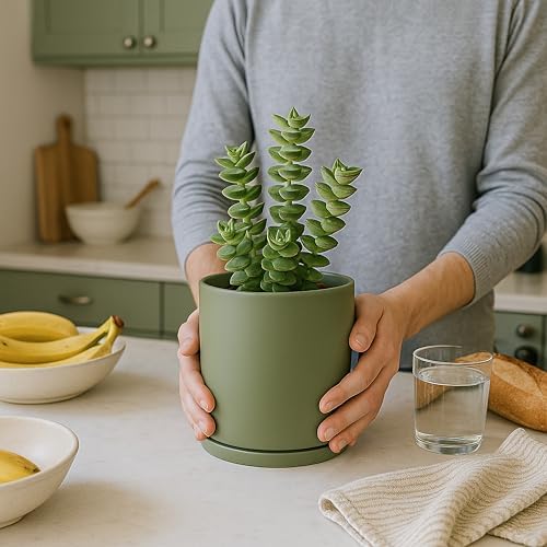 D'vine Dev Double-Layer Self-Draining Planter Set – Rotating Plastic Outer Pot with Clear Inner Liner for Root Health, Perfect for Indoor Plants, 6.5", Set of 2, Olive, 73-V-C-2