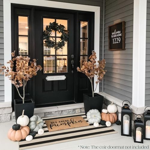 Front Door Mat Indoor Entrance - 2x4.3 Ft Black White Striped Rug