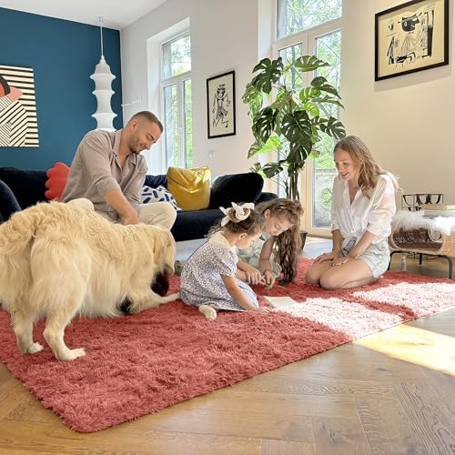 OLANLY 8x10 Machine Washable Large Area Rugs for Living Room, Bedroom, Soft Fluffy Shaggy Bedside Rug, Indoor Floor