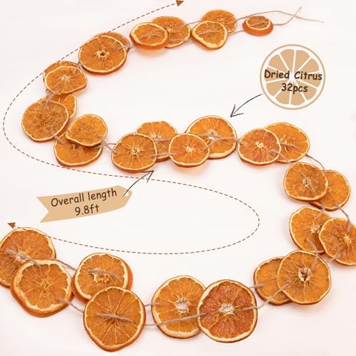 Christmas Decorations - 10 Ft Dried Orange Slice Fall Christmas Garland