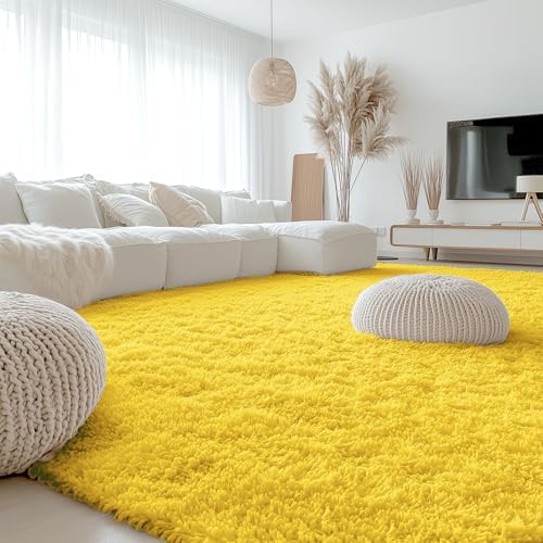 OLANLY 9x12 Machine Washable Large Area Rugs for Living Room, Bedroom, Soft Fluffy Shaggy Bedside Rug, Indoor Floor