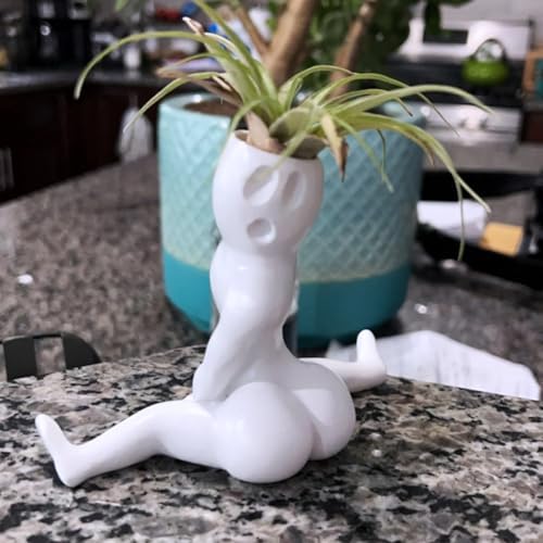 Funny Halloween Big Booty Ghost Planter Display Gag Hilarious Air Plant Display-Big Booty Ghost Holder Funny Gift Butt Planter Resin Air Fern Stand Prank Decor for Indoor Outdoor Home Office