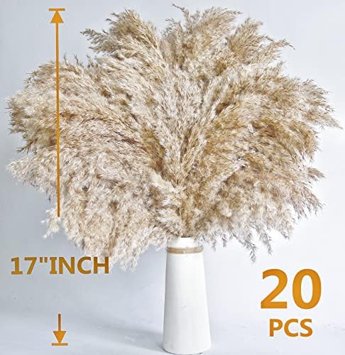 Short Pampass Bulk for Boho Room / Natural / Set of 30