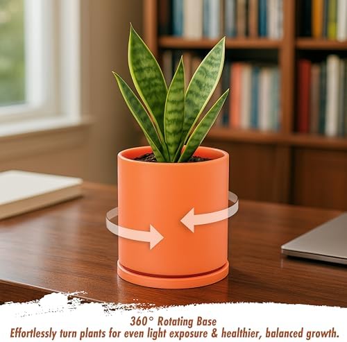 D'vine Dev Double-Layer Self-Draining Planter Set – Rotating Plastic Outer Pot with Clear Inner Liner for Root Health, Perfect for Indoor Plants, 4.5", Set of 2, Pumpkin, 73-V-E-1