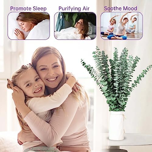 17'' Natural Fresh Eucalyptus Leaves Branches Hanging for Shower / Green / Set of 16