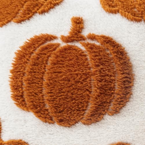 Fall Pumpkin Pillow Covers Fall Decor 18x18 Set of 2 Rust