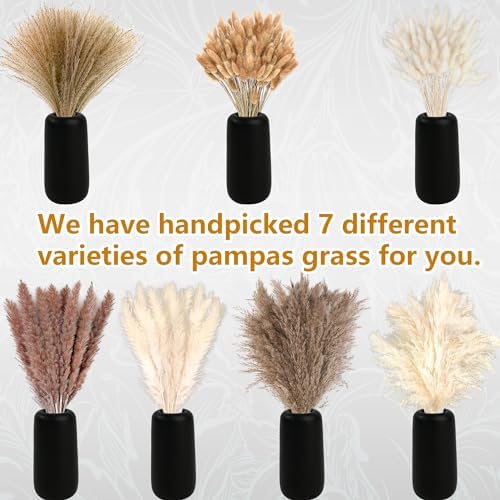 Dried Flower Bouquets / Set of 610