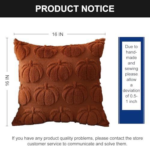 DFXSZ Fall Pillow Covers 16x16 2Pcs Rust Pumpkin Fall Decorations for Home