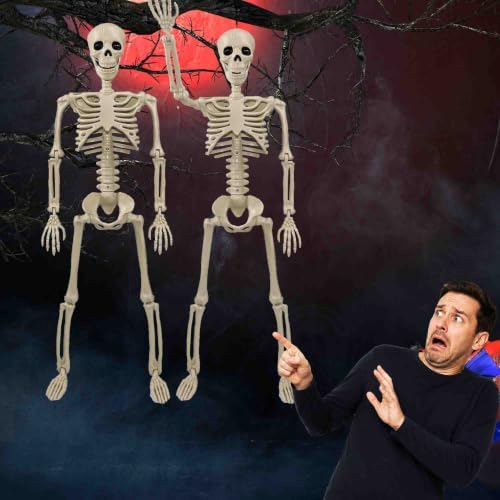 2 Pack 24"Halloween Skeleton - 2 ft Life Size Human Skeleton with Full Body Posable Joints Plastic Skeleton for Halloween Skeletons Decor Yard Patio Lawn Garden Skeleton Props Spooky Party Decoration