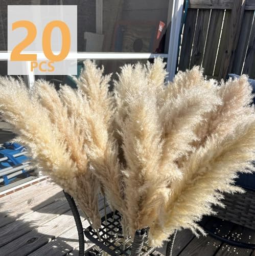 Tall Pampas Grass / Natural / Set of 20