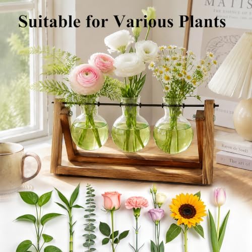 XXXFLOWER Plant Terrarium Kit with Wooden Stand 3 Gradient Green Bulb Vases