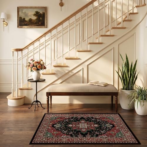 RELEANY Washable Area Rug, Small 2'6"x4', Red/Black