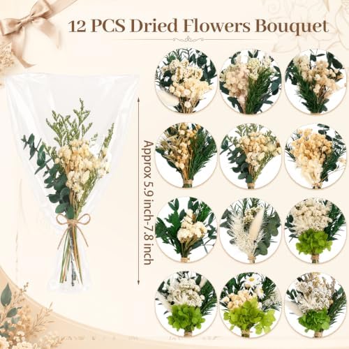 12/24PCS Handmade Dried Flower Bouquet with Stems Natural Dried Wildflowers 7.5 Inch Mini Dry Flowers for Vase Farmhouse Decor, Wedding Styling, Photography Props, Gift DIY(12pcs, Eucalyptus)