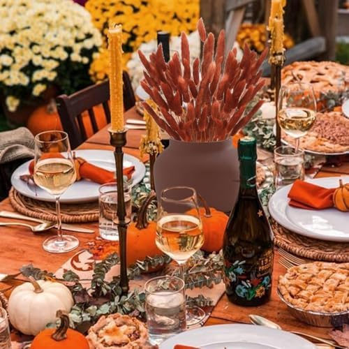 120pcs Bunny Tails Dried Flowers Pampas Grass Bouquet, Caramel