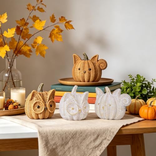 Fall Decor Animal Pumpkin Decorations – Owl Fake Pumpkin Resin Woven Design Animal Figurines for Home Table Shelf Mantel, Thanksgiving Halloween Decorations Gifts for Autumn Decor(Gold&White)
