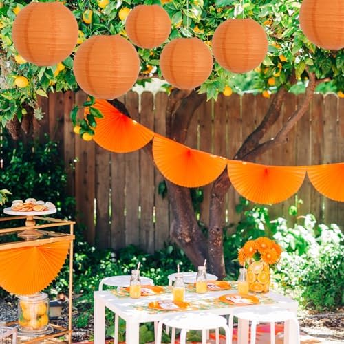 BEISHIDA 12 Inch Orange Paper Lanterns 6Packs Hanging Round Chinese Lantern