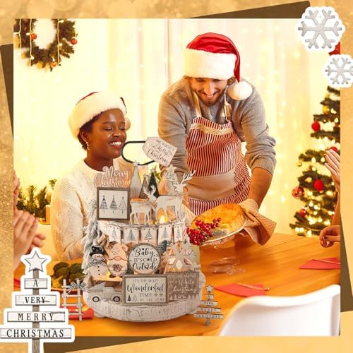 Shellwei 20 Pcs Neutral Christmas Tiered Tray Decor, Winter Farmhouse Signs