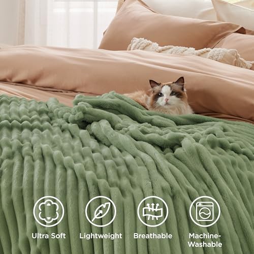 Bedsure Soft Twin Blanket for Bed Decor Gifts Reseda Green 60"x80"