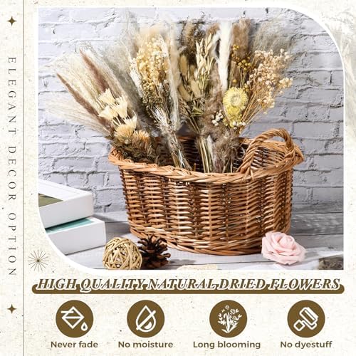 Layhit 4 Pack Large Size Boho Dried Flowers 15-17 Inch, Classic