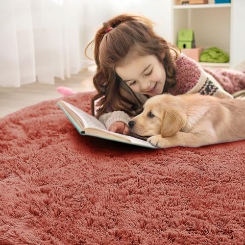 OLANLY Rust Red Round Rugs for Bedroom - Machine Washable, 7 ft Circle Area Rugs for Living Room, Soft and Fluffy
