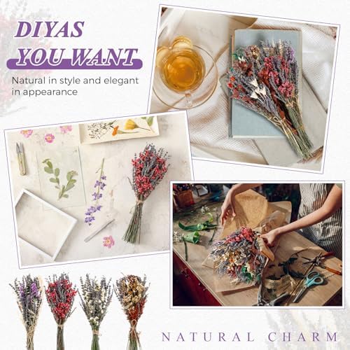 Layhit 8 Pack Large Size Boho Dried Flowers 15-17 Inch, Lavender