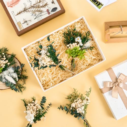 12/24PCS Handmade Dried Flower Bouquet with Stems Natural Dried Wildflowers 7.5 Inch Mini Dry Flowers for Vase Farmhouse Decor, Wedding Styling, Photography Props, Gift DIY(12pcs, Eucalyptus)
