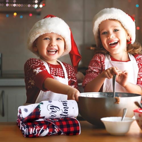 VitalCozy 12 Pcs Buffalo Plaid Christmas Kitchen Towels, 14.2 x 21.3 in