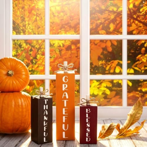 Redbaker 3 Pcs Fall Decorations for Home, Fall Centerpieces for Table