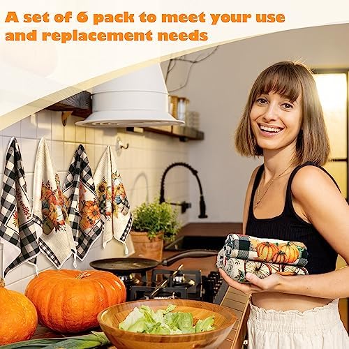 Ganeen 6 Pcs Fall Kitchen Dish Towels Buffalo Plaid Farmhouse Adorable