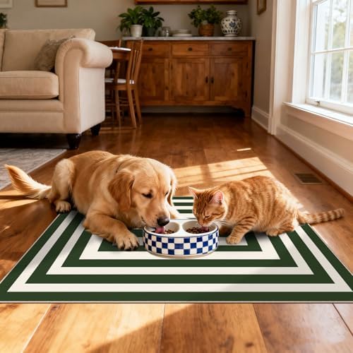Modern Outdoor Rug - 28"x43" Front Door Mat Indoor Outside Entrance
